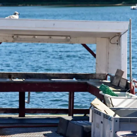 6 Person In Hébergement de vacances Oksvoll