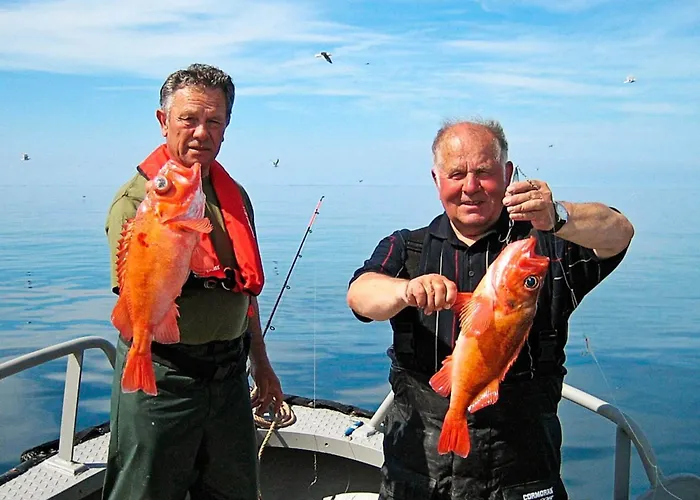 6 Person In * Oksvoll